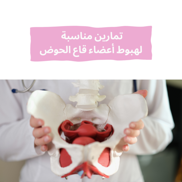 Copy of غلاف مواضيع المدونه (8) دليل التعافي من هبوط أعضاء الحوض | خطتك المبسطة لفهم المشكلة وتخفيف الأعراض و إنتِ ببيتك 🌸